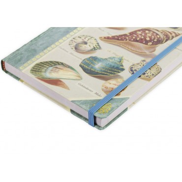 Книга для записей Shells