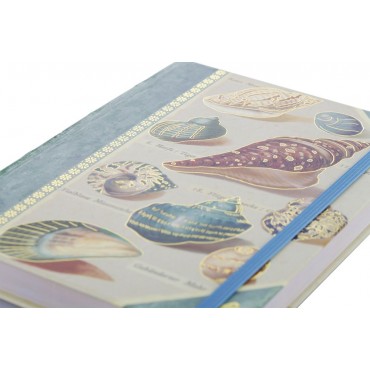 Книга для записей Shells